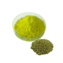 Health Supplement Pharmaceutical Grade Sophora Japonica Extract Powder 98% Quercetin